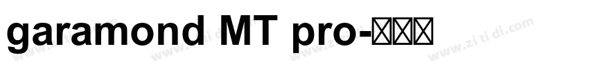 garamond MT pro字体转换